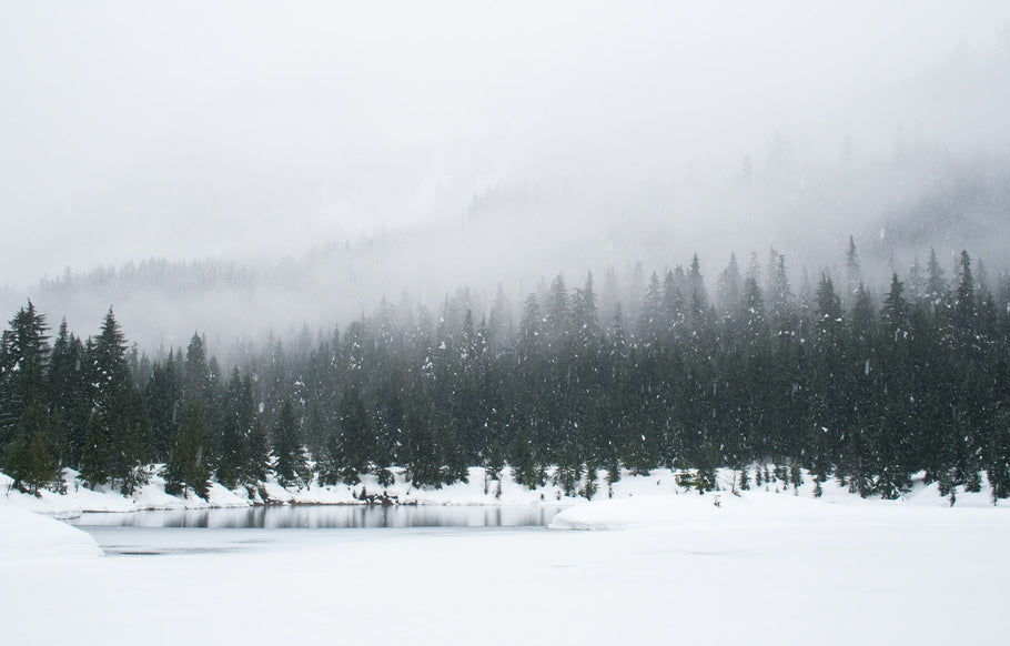 Places to Camp and Practice Winter Sports in the USA