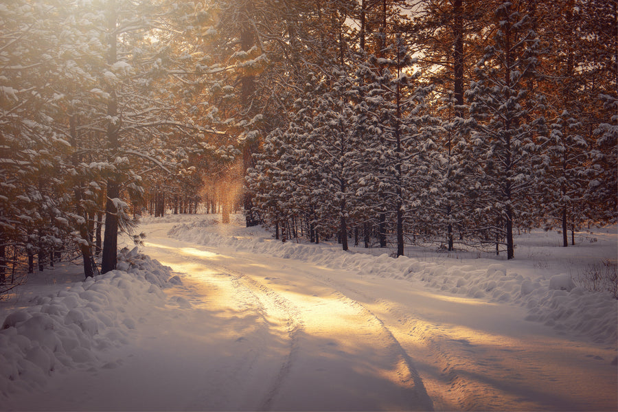 Camping Clothes to Pack in the Winter